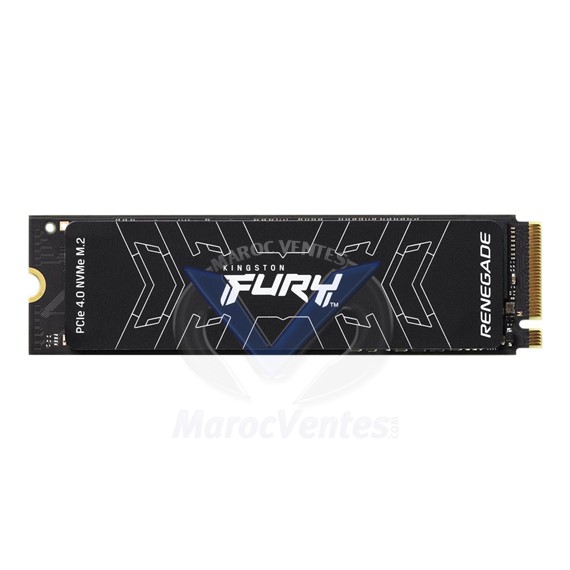 Disque Dur Interne SSD M.2 FURY Renegade Heat Spreader 1000GB PCIe 4.0 NVMe SFYRS/1000G