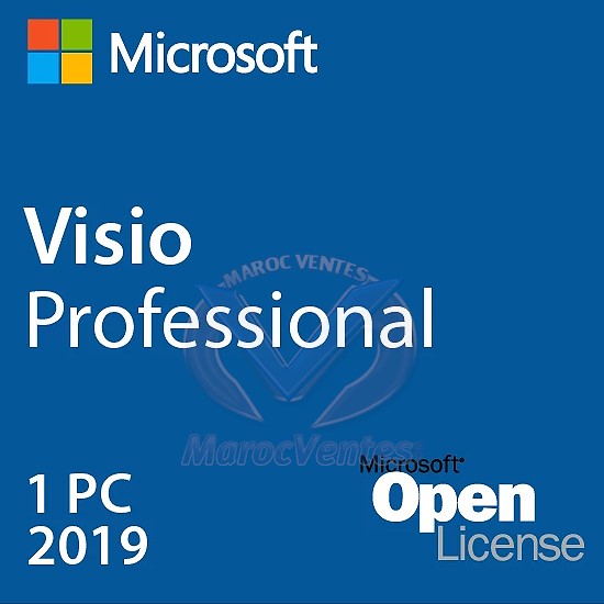 Visio Professional 2019 Licence 1 PC Single Language D87-07499