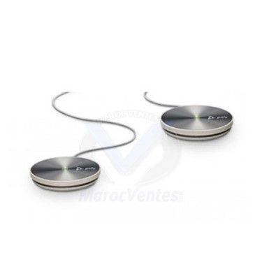 KIT DE 2 MICROPHONES COMPLÉMENTAIRES POUR POLY C60