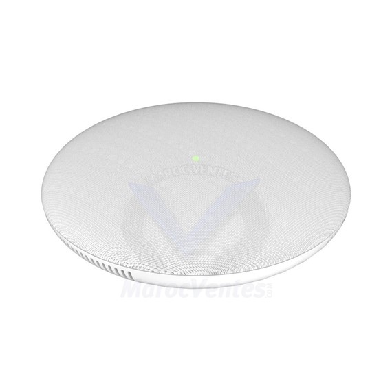 Haut-Parleur Microphone D’interphone SIP GSC3510