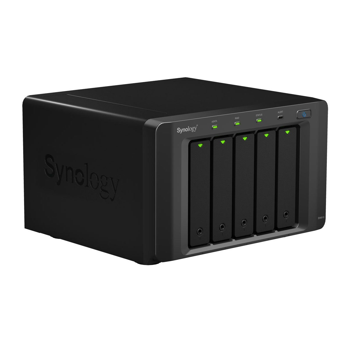 Synology NAS-Extension DX513 avec 10TB RED (5x2TB)
