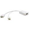 CÂBLE ADAPTATEUR HDMI (M) VERS DISPLAYPORT (F) 4K 2.0 ALIMENTATION USB