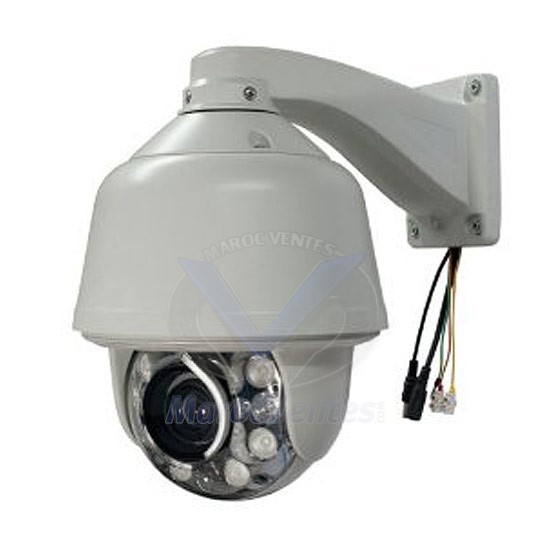 Caméra Dome IR HIGH SPEED SONY 1/3" CAM04