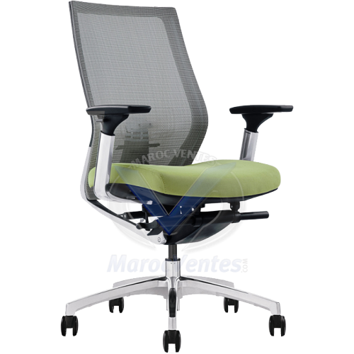 Fauteuil Réglages Mécaniques Multifonctionnels Ajustable en 3D Exclusive 350