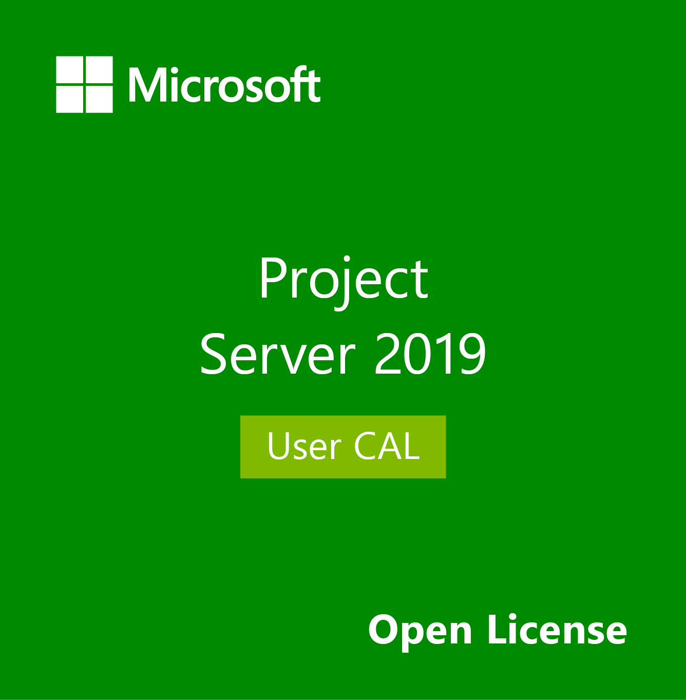 Project Server CAL 2019 SNGL OLP NL Device CAL